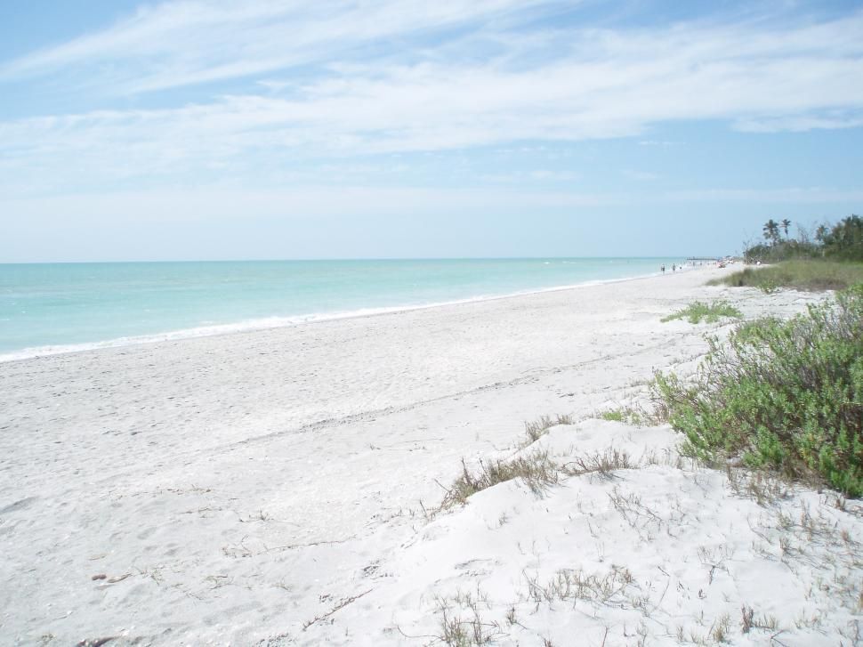 Apollo Beach, FL