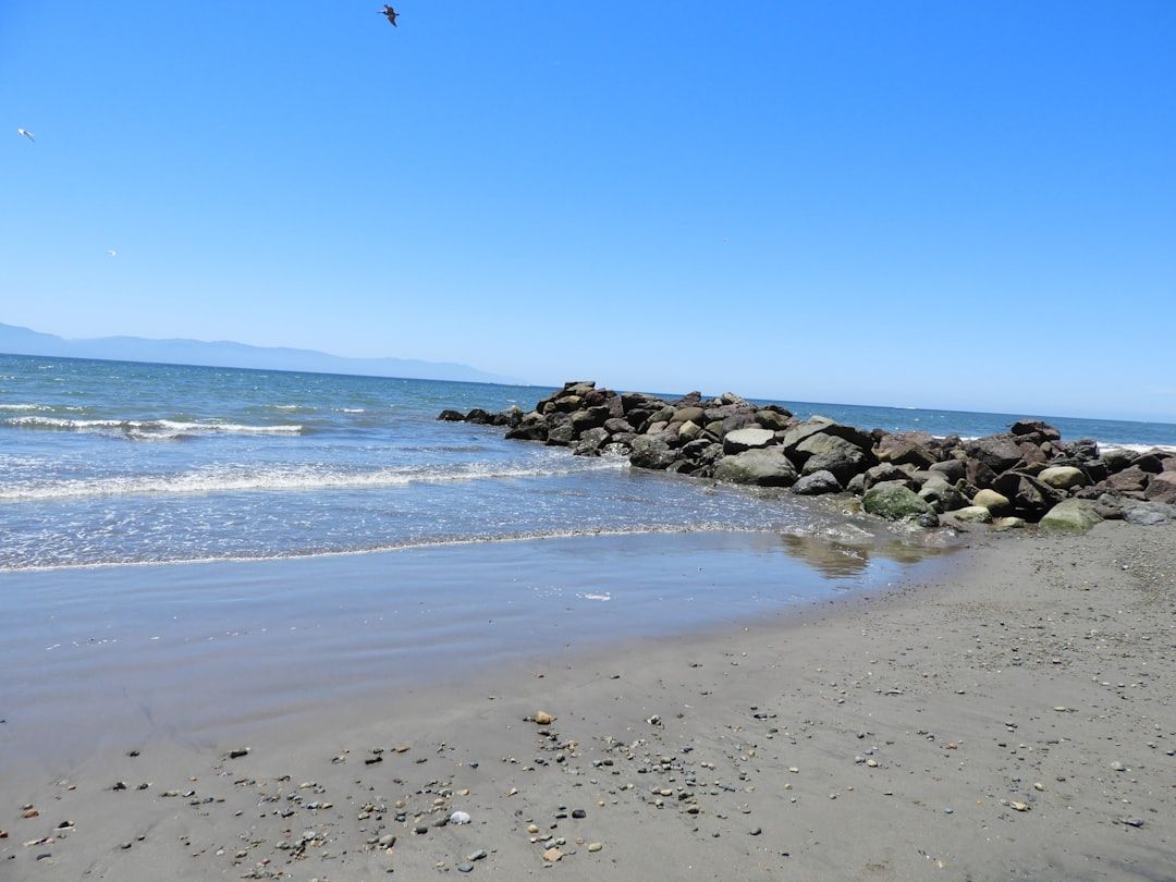 Chambers Bay Beach, WA view 1