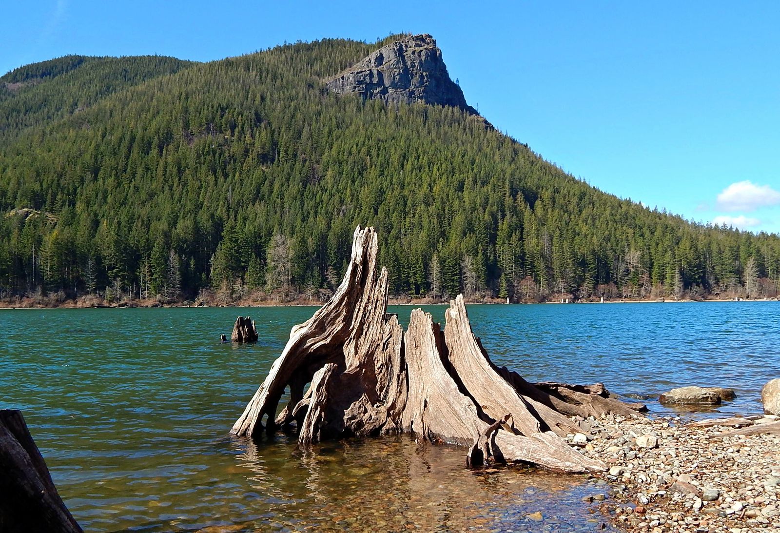 Lake Ballinger Beach, WA view 2