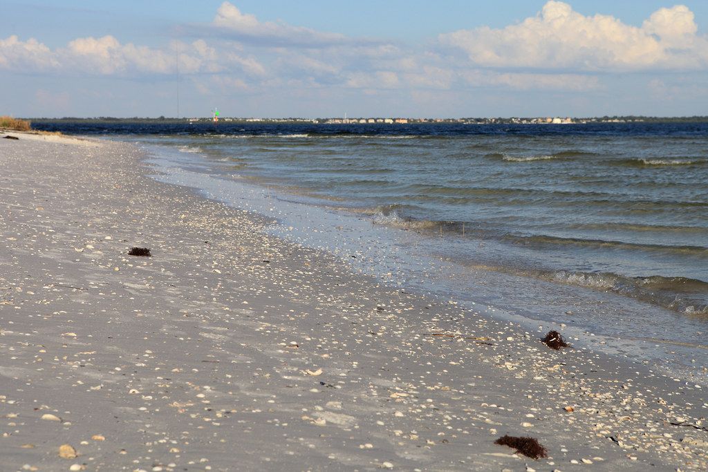 Big Shell Beach, TX view 2