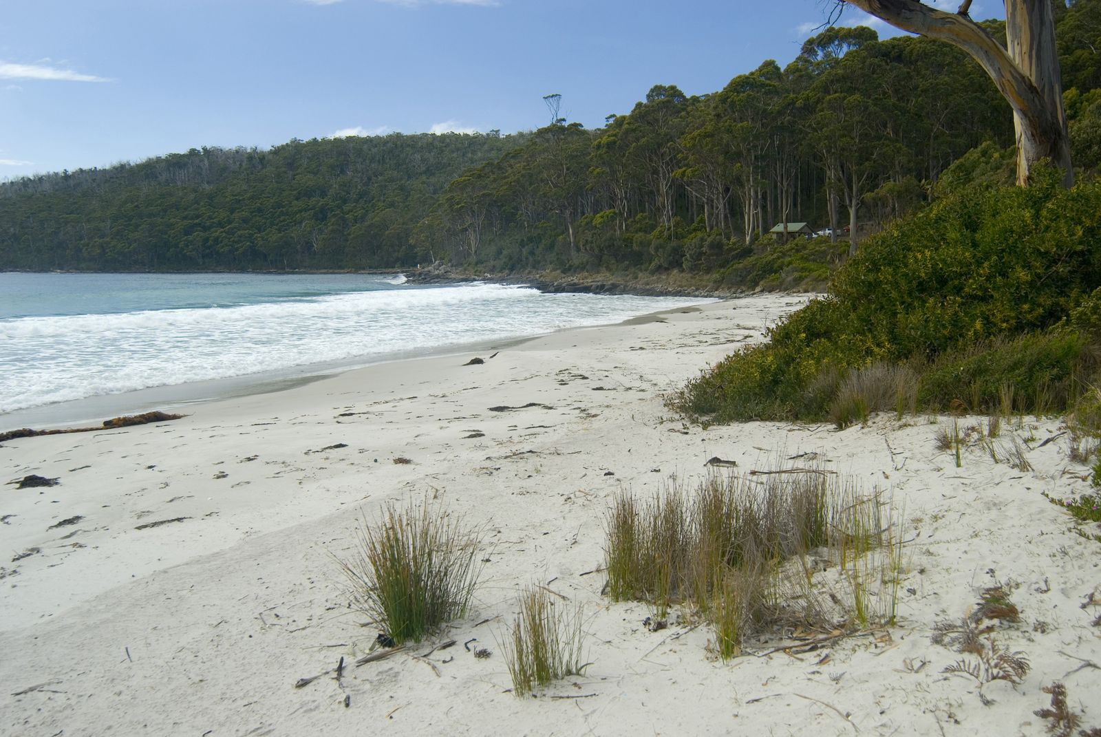 Fortescue Beach, NJ view 1