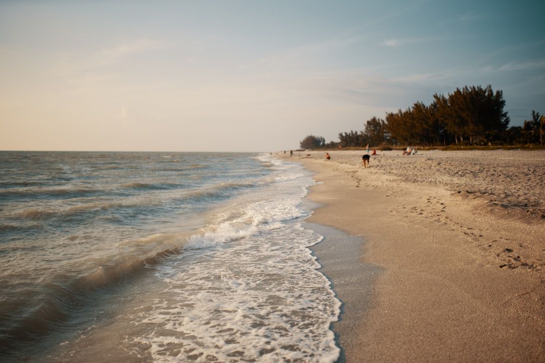 Little Florida Beach. Johnson Bayou, La, LA view 2