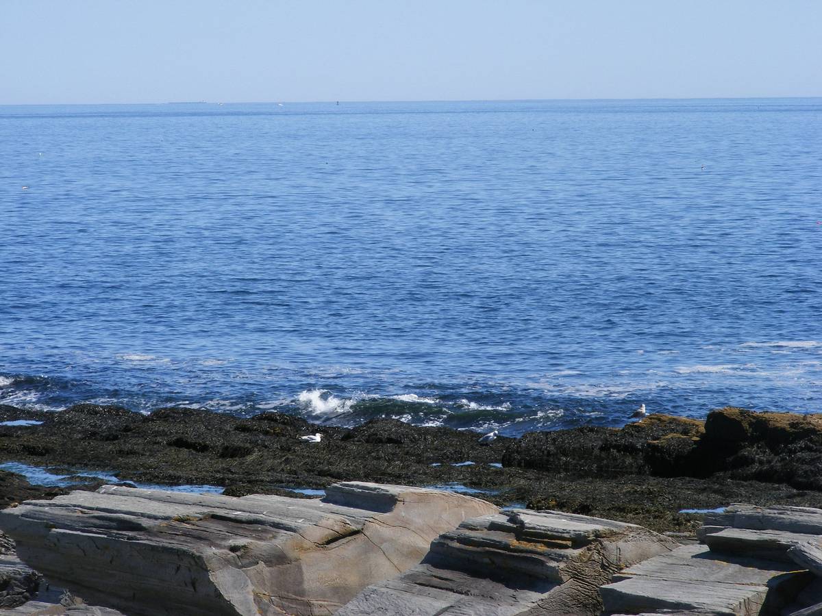 Cape Elizabeth (Two Lights), ME view 1