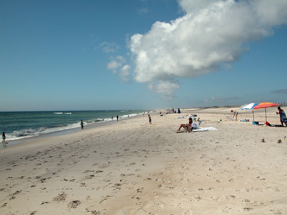 Assateague Island, MD/VA