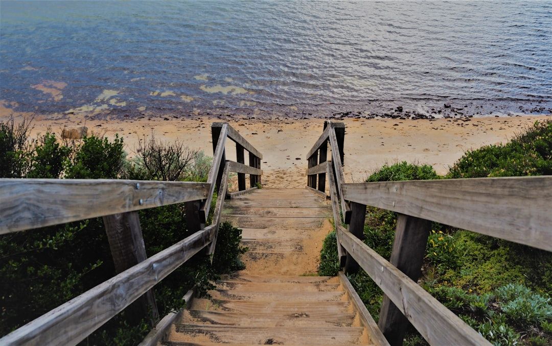 Myrtle Beach State Park, SC view 1