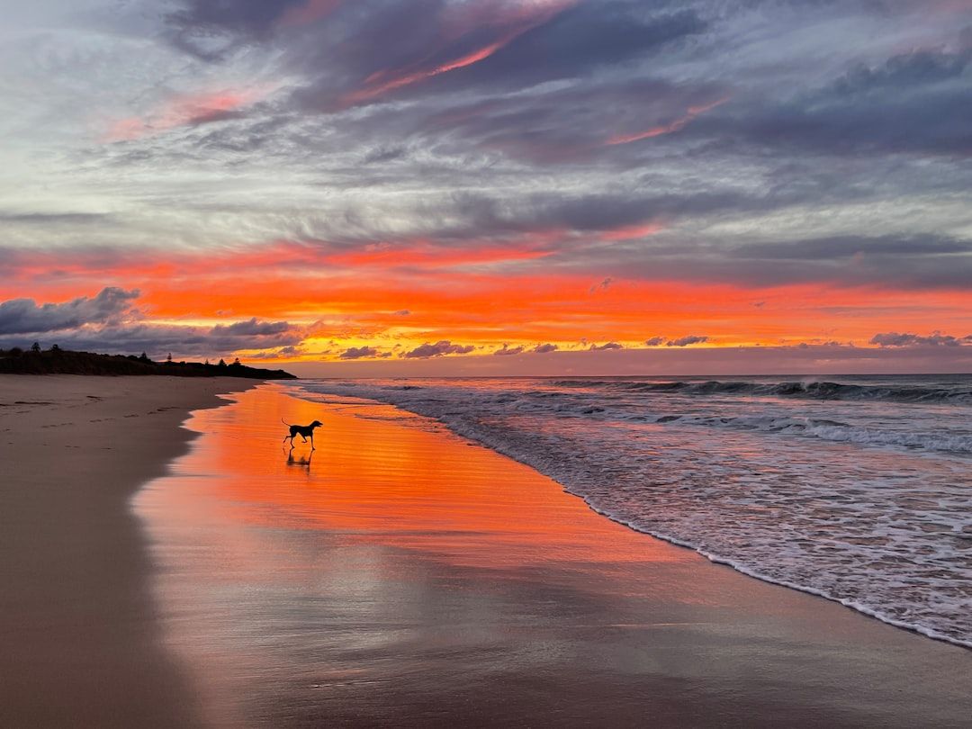 Myrtle Beach State Park, SC view 2