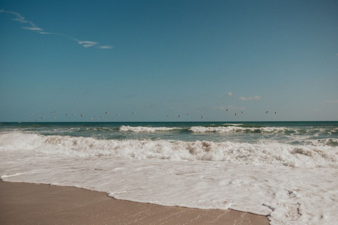 Galveston Island State Park, TX view 2