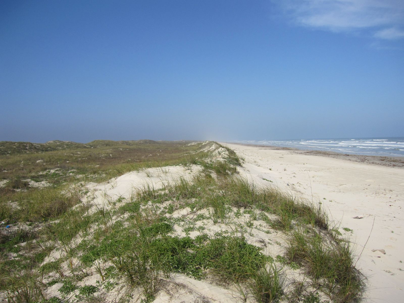 Padre Island National Seashore, TX view 2
